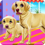 labrador quadruplets newborn caring android application logo